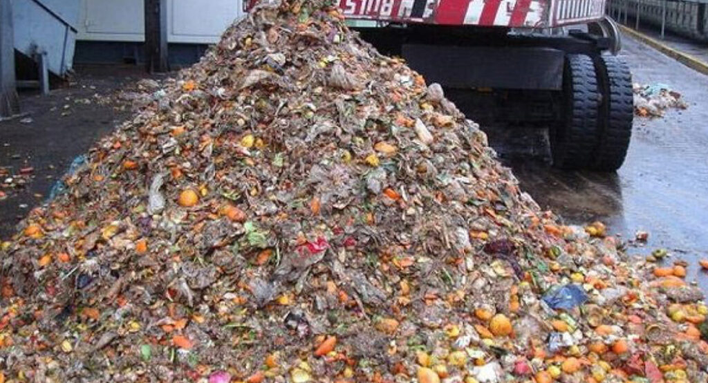 Un impianto a biomassa ricicla rifiuti organici e anche Co2