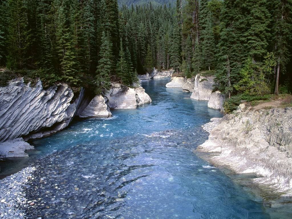 Finalmente la tutela dell’Ambiente nella Costituzione: cosa cambierà